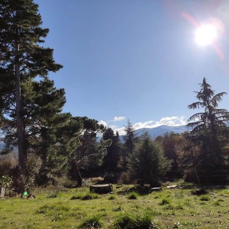 Casa Rural El Pinar Villa Navas de Riofrio Bagian luar foto