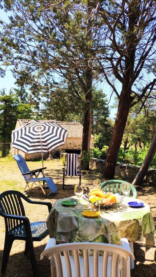 Casa Rural El Pinar Villa Navas de Riofrio Bagian luar foto